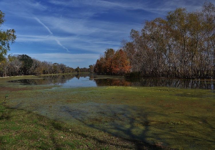 Brazos Bend State Park